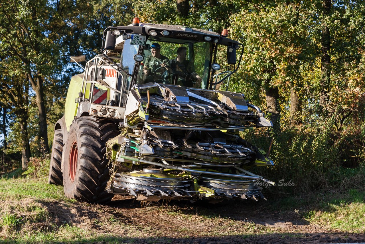 Bild 135 - Maisernte